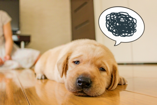 カウンセリング